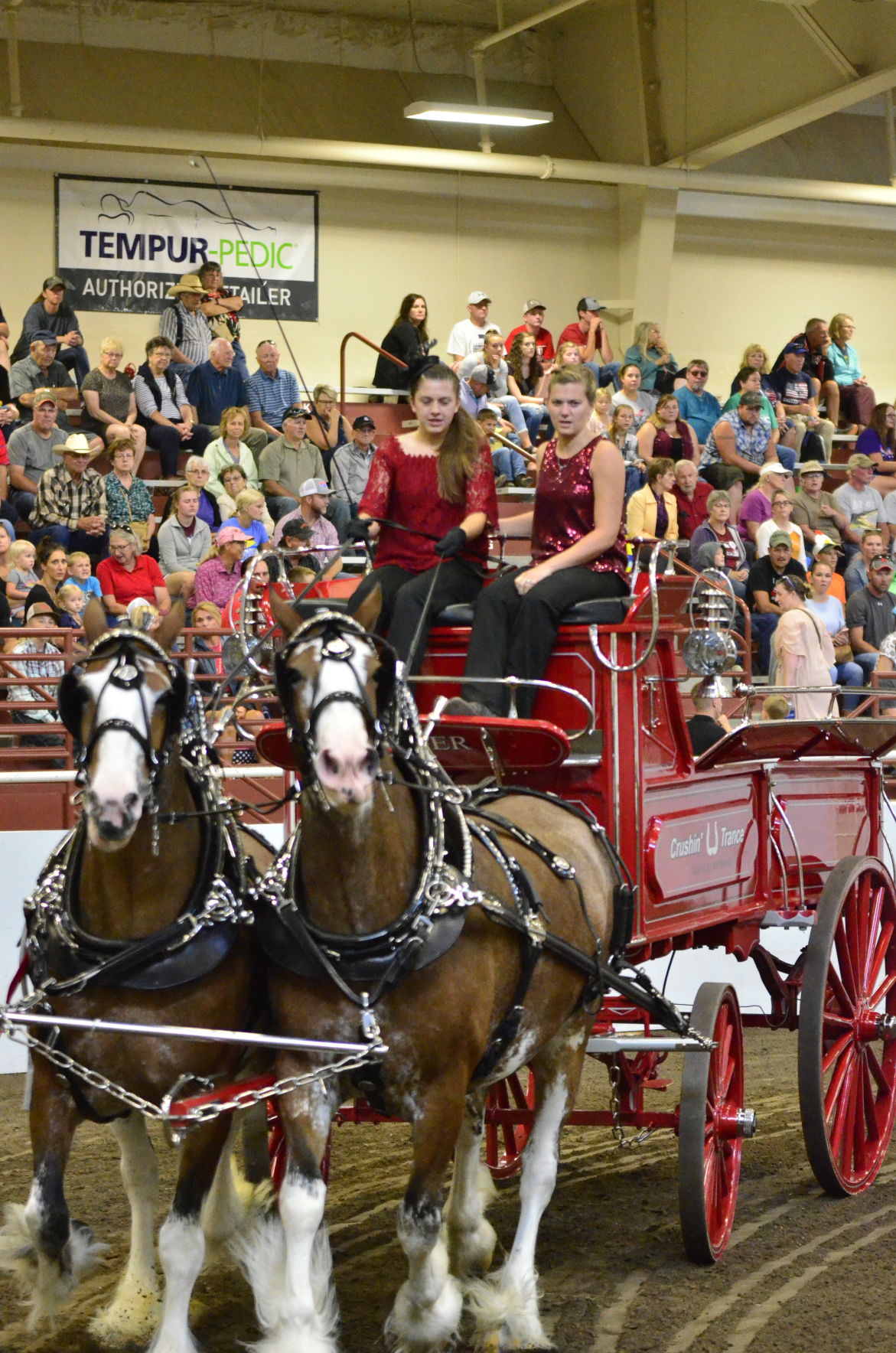 8-25-19 Draft Horse Hitch Final (58).JPG